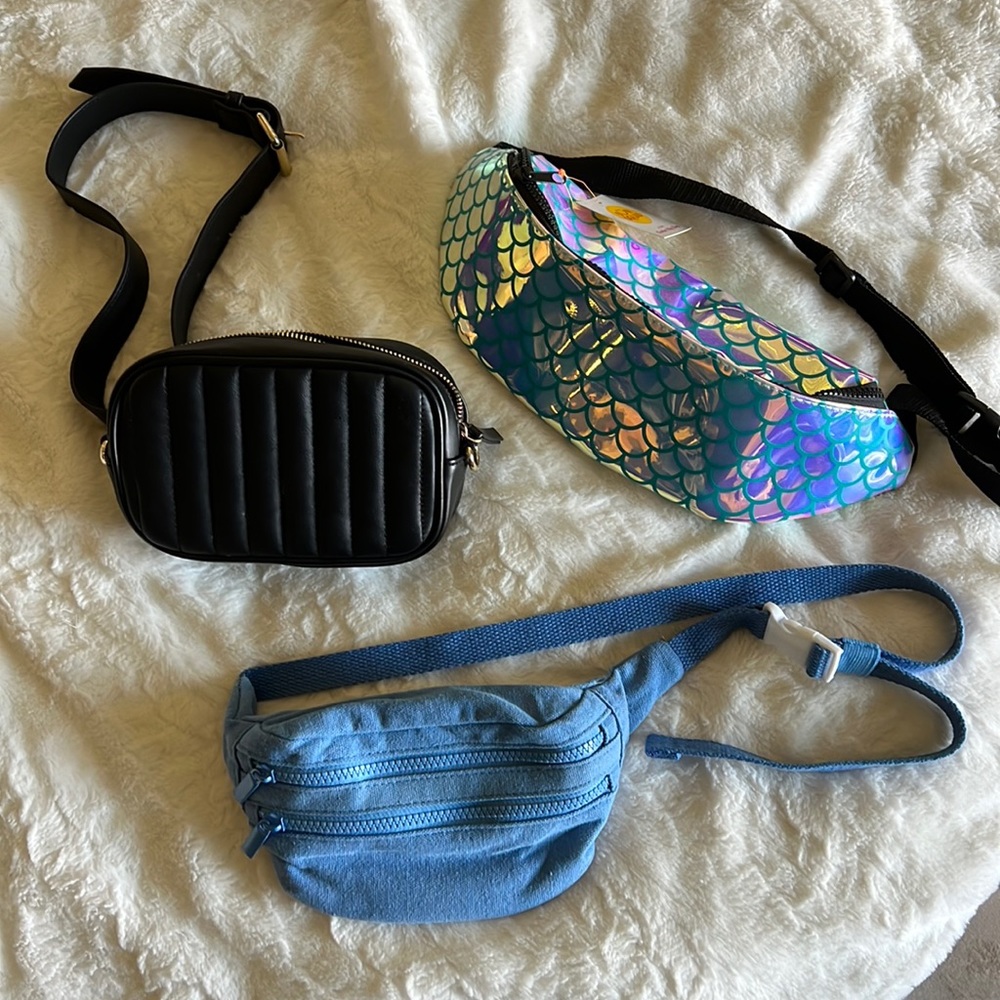 Fanny Pack Bundle - image 1